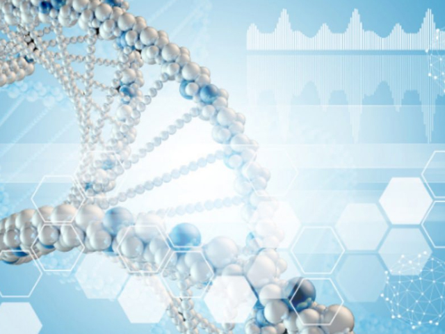 最速のリカバリー×サステナブル